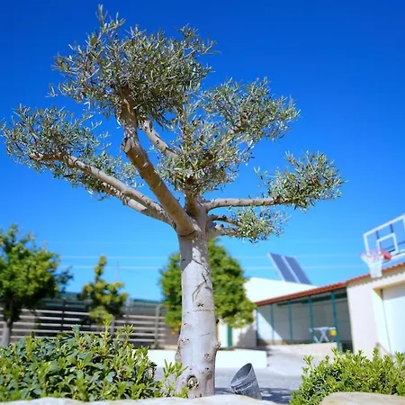 Pátio Do Rabisco Vilamoura